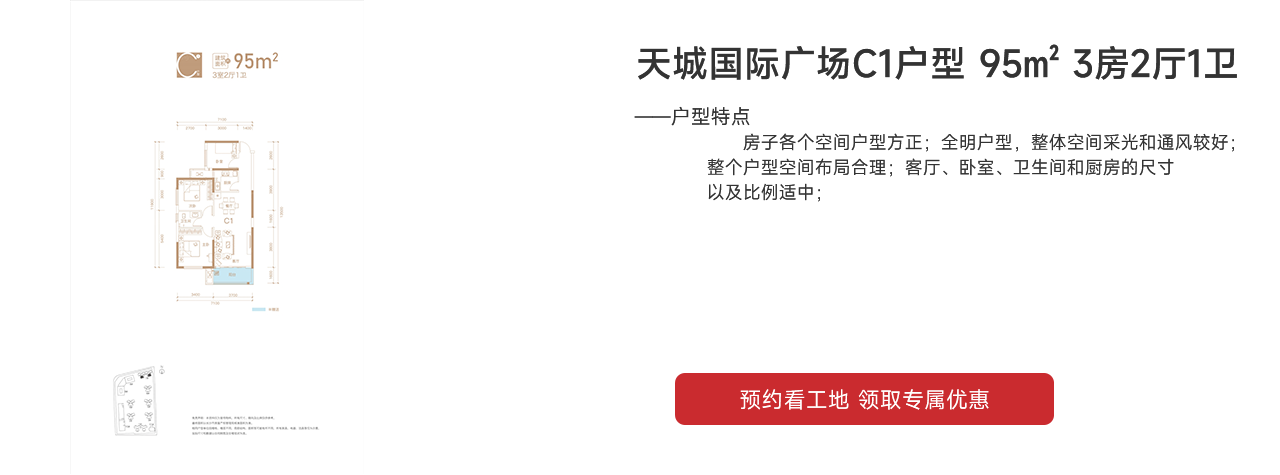 天城國際廣場（天城商業(yè)廣場）C1戶型 95㎡