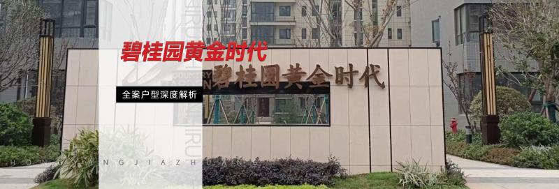 碧桂園黃金時(shí)代