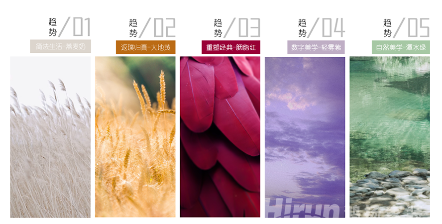 巔峰設(shè)計 領(lǐng)“潮”前行丨鴻揚家裝2023年度色彩趨勢繽紛發(fā)布
