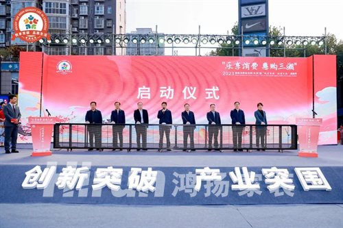 鴻揚家裝，官方指定唯一定制家裝政府補貼品牌